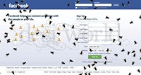 Facebook bees